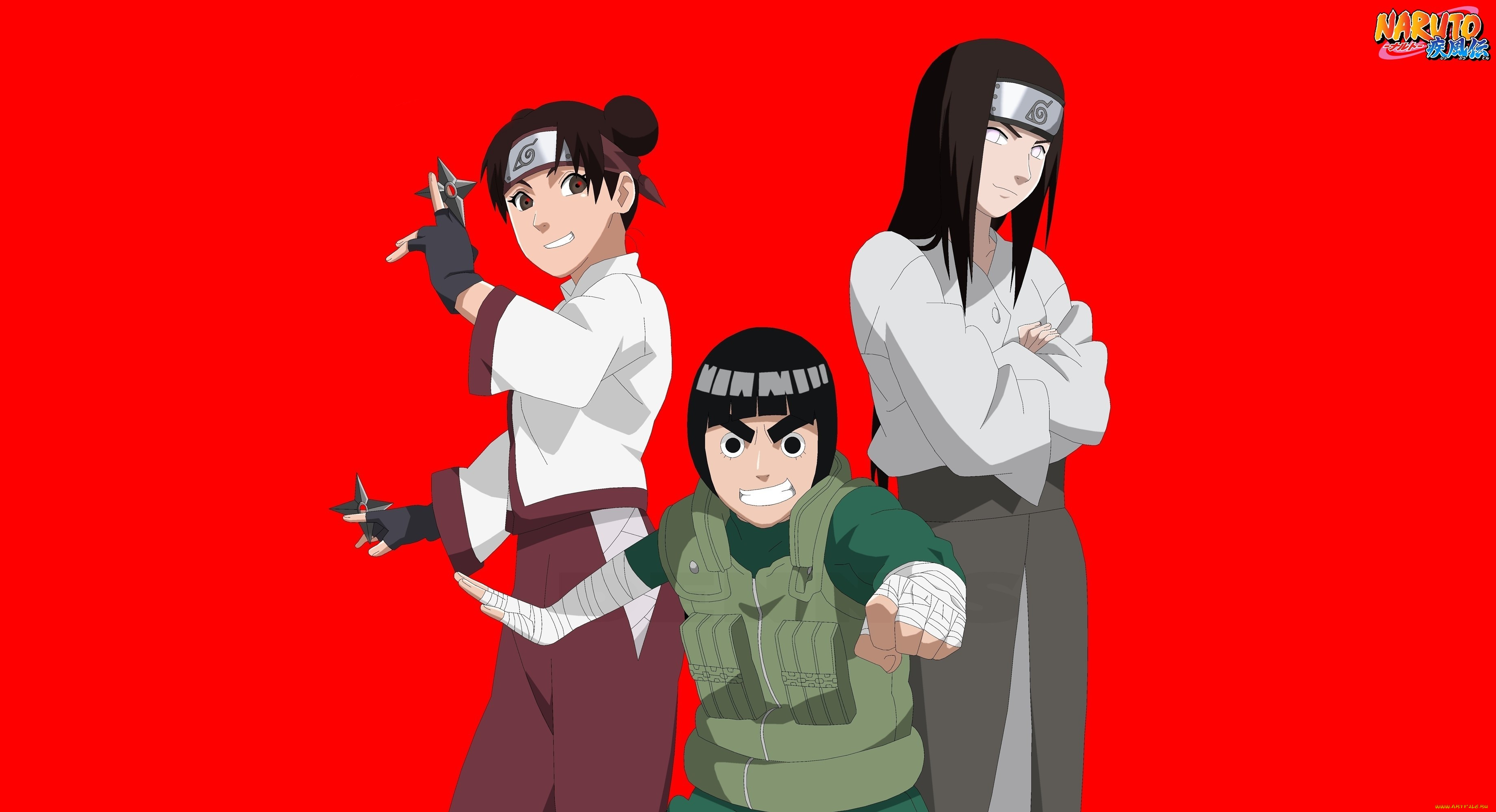 , naruto, lee, nejy